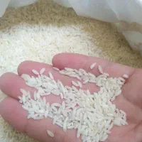 برنج عنبر بو درجه 1 خوش طعم و عطر دار