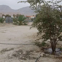 فروش باغ شهری ۱۰۰۰متر|فروش خانه و ویلا|لار, |دیوار