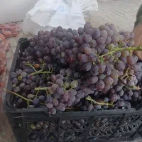 انگور سیاه