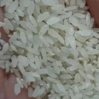 برنج کامفیروزی درجه1