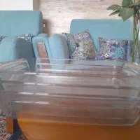 ظرف پیرکس مرغ خوری فرانسوی سالم ،هر ظرف ۵۰۰