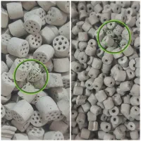 خریدار کاتالیست نقره|قطعات یدکی و لوازم جانبی|بندر ماهشهر, |دیوار