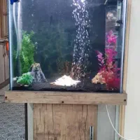 آکواریوم ماهی