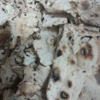 نان خشک دامی