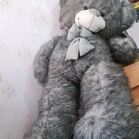 خرس بزرگ، در حد کاملاً نو، کیفیت بالا