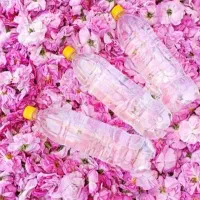 گلاب طبیعی خالص