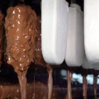 کارگرساده و راننده و حراست باخواب غذا شرکت بستنی