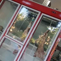 یخچال|فروشگاه و مغازه|مبارکه, |دیوار
