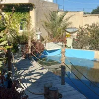 قلیان زن ماهر