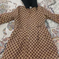پالتوبچگانه