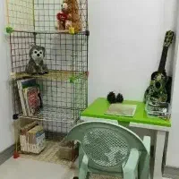 میز و صندلی و کتابخانه ی کودک|اسباب و اثاث بچه|بندر امام خمینی, |دیوار