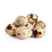 تخم بلدرچین