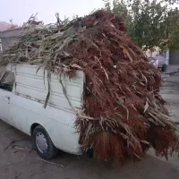 چهارنیسان جاروشهری تازه چیده شده|لوازم نظافت|خرم‌آباد, |دیوار