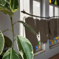 استخدام نیرو خدماتی و اتوکار برای مزون