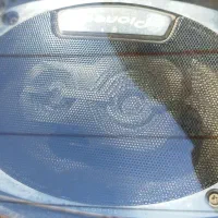 باند پایونر اصل|صوتی و تصویری|بیستون, |دیوار