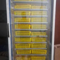 دستگاه جوجه کشی ۱۰۰۰تای تخم مرغ و