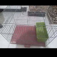 دوتا قفس پرنده با تمام امکانات