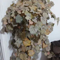 درختچه  مصنوعی باگلدان