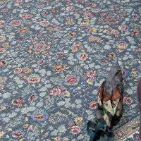 دوعدد روفرشی ۶متری