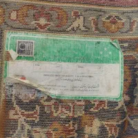 فرش لاهیجان|فرش|بوشهر, |دیوار