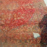 قالی کرمانی دسته دوم|فرش|رفسنجان, |دیوار