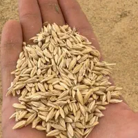 تریلی بارگیری شده|خدمات حمل و نقل|زرین آباد, |دیوار