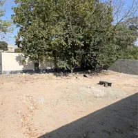 ۲۵۰متر زمین چهاردیواری مسکونی داخل بافت قابل ساخت|فروش زمین و ملک کلنگی|شهریار, بکه|دیوار