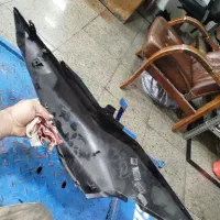 گیتاری عقب کلیک ۱۶۰