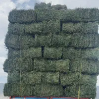 پرس یونجه خشک درجه یک فروشی