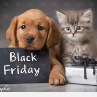 نگهداری حیوانات شما در ایام تعطیلات