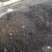 خاک باغچه ترکیبی طبیعی|خدمات باغبانی و درختکاری|رشت, پل تالشان|دیوار