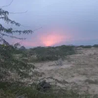 سرکتاب و انواع فال