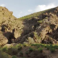 کره گوسفندی
