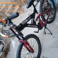 دوچرخه ۲۶|دوچرخه، اسکیت، اسکوتر|گنبد کاووس, |دیوار