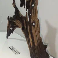 چوب آبنوس|ماهی|کرمانشاه, |دیوار