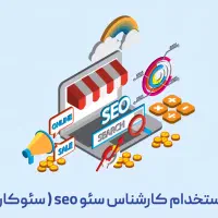 استخدام خانم سئوکار وردپرس در پردیس دانشگاهی