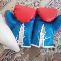 دستکش بوکس نو