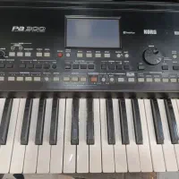 ارگ pa300