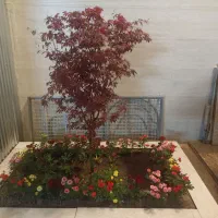 باغبانی .هرس. کودهی. تعویض خاک .|خدمات باغبانی و درختکاری|مشهد, کوثر|دیوار