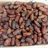 خرید حشف خرمایه صنعتی