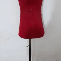 دو عدد مانکن