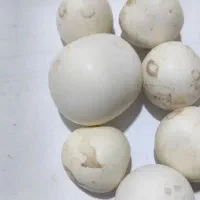 سنگ اسیاب سنگ الماس