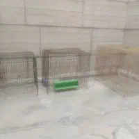 قفس پرنده سالم