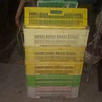 فروش سبد پلاستیکی محکم