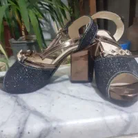 مانتووکفش|لباس|فلاورجان, |دیوار