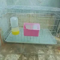 قفس مرغ و خروس