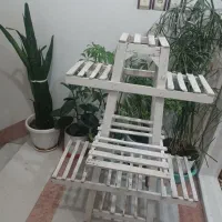 پایه گل