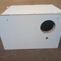 لونه تخم گذاری عروس هلندی