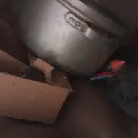 این ظرف فقددرنداره  برافروش گذاشتم چون جاندارم