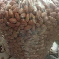 بادام گردو عسل|خوردنی و آشامیدنی|رامسر, |دیوار